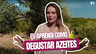 Visitei uma fábrica de azeite de oliva na Grécia | CURIOSIDADES DA LAURA 20
