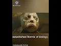 Fact check Did scientists discover a new species of fish called HOMO PISCIS human-faced fish
