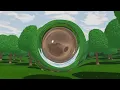What would a wormhole look like in the real life?