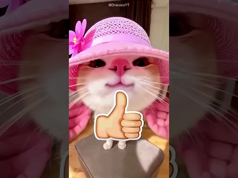 😱 ¡No Tenía Agujero Para la Cabeza! ¿Cómo Se Pone Esta Camiseta? 👕😂