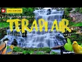 Download Lagu Terapi Air Mengalir Untuk Burung Stres, Terapi Air Untuk Burung, 100% Membuat Nyaman dan Tenang