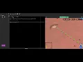 Python Gym Hello Python