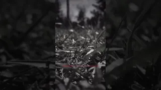 أنا العبد الذي أضحى حزينا خالد الراشد 