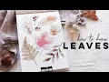 How To Draw Autumn Leaves Fun Beginner Illustration