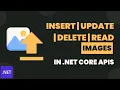 Upload image in asp net core APIs