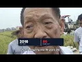 Everyone Laughed When China Tried to Farm Salt Land… Now It Feeds Millions