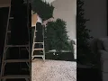 Put up my 15 ft traditional Christmas Tree with me