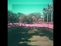 Highlights