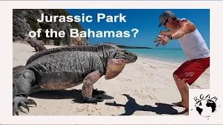 Taking care of business…and a few adventures! Episode 23 #catamaran