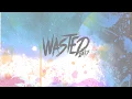 Liquid Cocaine - Wasted 24/7 [LYRIC VIDEO]