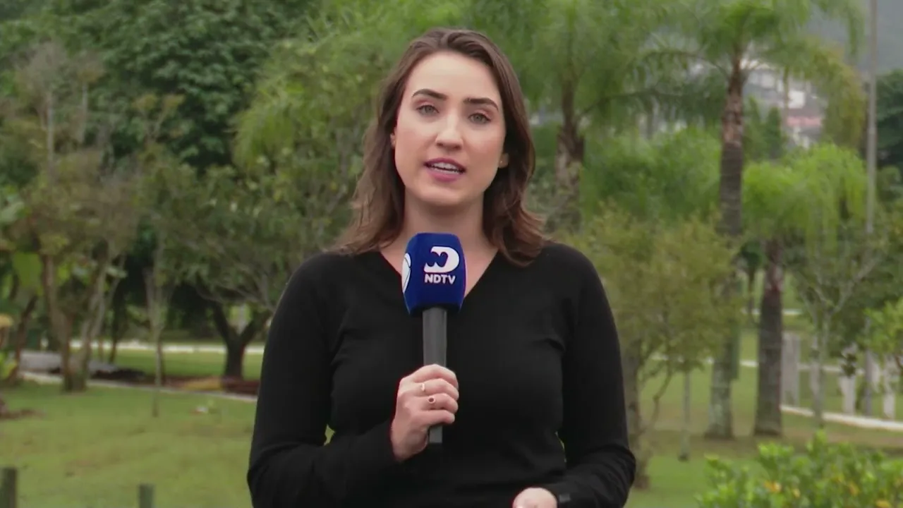 Baleia encalhada em praia de Jaguaruna morre após resgate