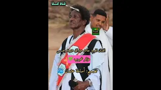 مؤتمر شمبوب الفنان الهرم البجاوي حامد عبدالله عنجة وهسس 