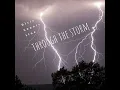 Through the Storm