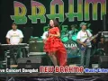 Lagu NEW BRAHMA @ fatwa pujangga # EVI FITRIA