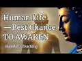 Lagu Why Human Life is the Best Chance for Enlightenment – Buddhist Wisdom