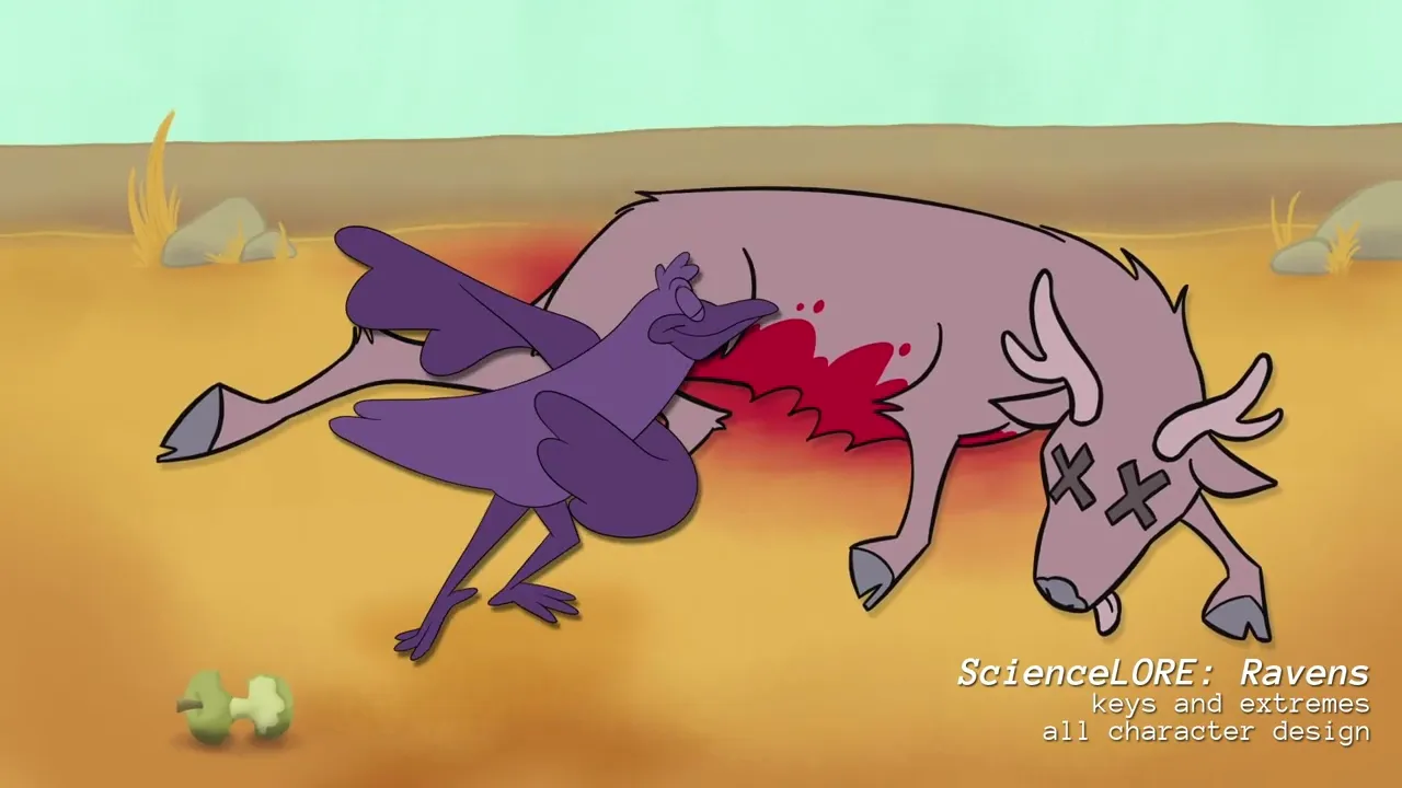 summer/fall 2026 reel