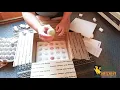 Hatching Egg Delivery