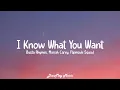 Download Lagu Busta Rhymes ft Mariah Carey ,Flipmode Squad  -I Know What You Want (lyrics)