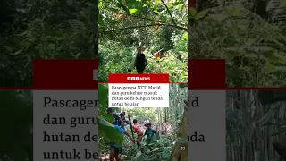 Murid dan guru di NTT keluar masuk hutan demi mencari bahan untuk membangun tenda untuk belajar