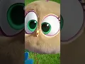Download Lagu What is the Hatchling Hiding Behind His Back??? #shorts