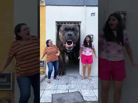 O cachorro levou #comedy #humor #shorts
