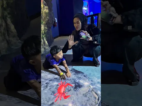 Gabisa tangkap kepiting