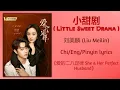 小甜剧 (Little Sweet Drama) - 刘美麟 (Liu Meilin)《爱的二八定律 She \u0026 Her Perfect Husband》Chi/Eng/Pinyin lyrics