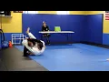 Cogito BJJ Tournament 11 3 18 Alex vs Ben