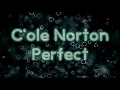 Download Lagu Cole Norton - Perfect [Lyrics on screen]
