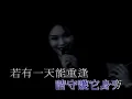 城裡的月光-許美靜