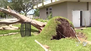 Morgan City Neighborhood Comes Together In The Aftermath of Hurricane Francine.