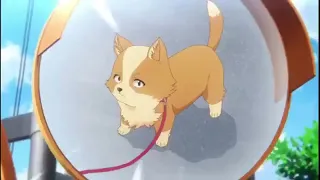 inu ni nattara suki na hito ni hirowareta