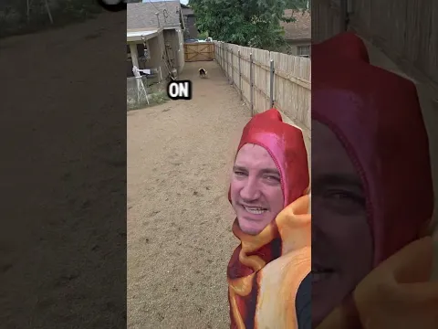 do you love fast food hot dogs #mukbang #dog #bordercollie #challenge