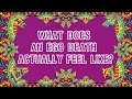 Download Lagu What Does an Ego Death ACTUALLY Feel Like?