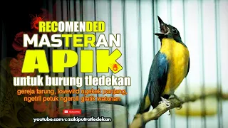 Download Tledekan Gunung Gacor Full Tembakan Ngeroll Panjang MP3