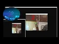 Real-Time Fingers Counter Hand Gesture Recognizer Mediapipe OpenCV Python