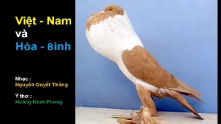 Việt Nam và hòa bình