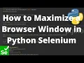 Python Selenium Tutorial - How to Maximize a Browser Window