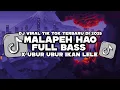 Download Lagu DJ MALAPEH HAO X UBUR UBUR IKAN LELE TIMUR TIMUR VIRAL TIK TOK TERBARU 2025
