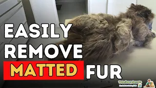 how to remove cat mats 