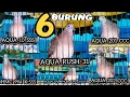 TERBARU❗6 SUARA PERKUTUT RING AQUA dan HMC BIRD FARM
