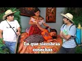 Download Lagu TODO LO QUE SIEMBRAS COSECHAS (ley de la vida)mira por que ???