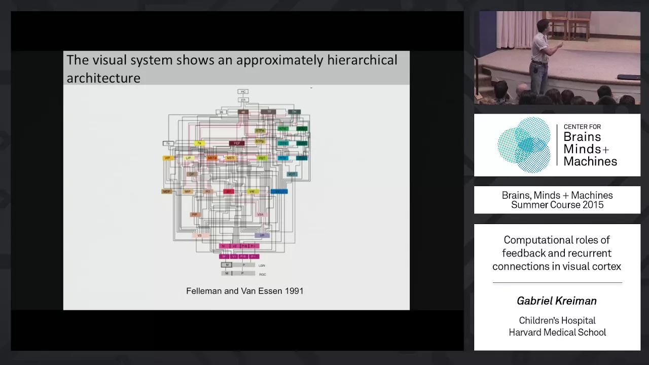 Lecture 1.2: Gabriel Kreiman - Computational Roles of Neural Feedback