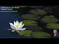 Meditation on Twin Hearts - 9 Minute Version guided by Master Glenn
