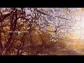 3月9日 (English Ver.) – レミオロメン | Spring Acoustic | J Covers