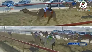 الشوط 23 مغثه لـ محمد حمد راعي قحير الدرعي 4 34 1 تاهيل المرموم 2020 12 24 المرموم الحقايق 