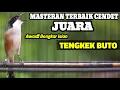 Lagu MASTERAN BURUNG CENDET GACOR ISIAN TENGKEK BUTO DIJAMIN LANGSUNG NYAUT