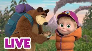 🔴 LIVE ✨ Niesamowita przygoda ⭐🏕️ Masza i Niedźwiedź ⚡ NA ŻYWO