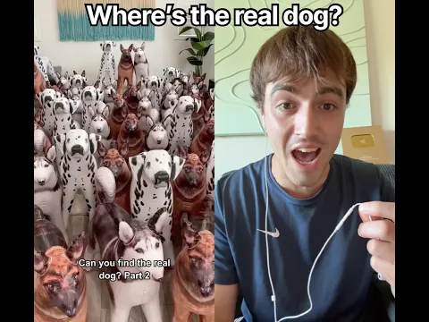Where’s the real dog?