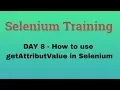 Selenium Training 9 How to use getAttributeValue in Selenium NATASA Tech